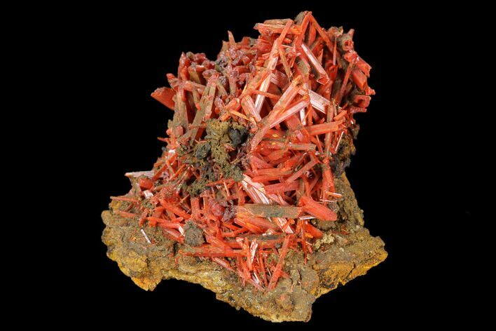 Bright Orange Crocoite Crystal Cluster - Tasmania #127951